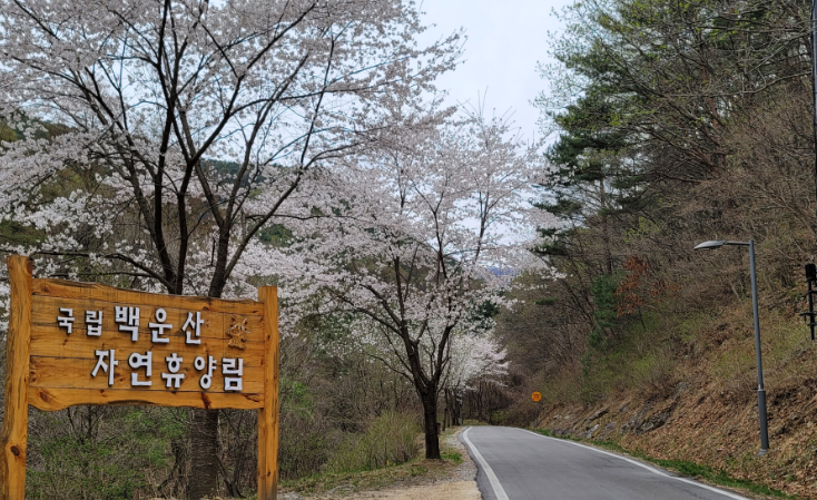 국립자연휴양림