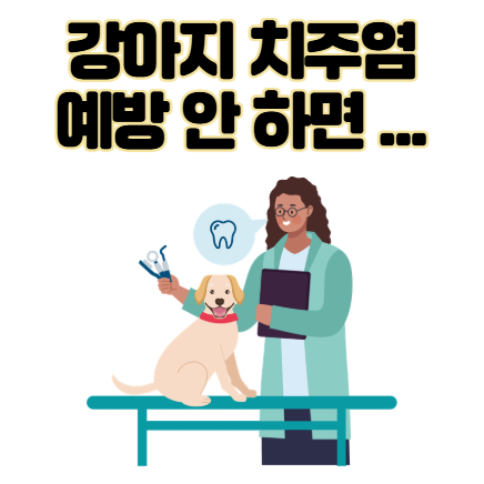 강아지 치주염 증상? 예방 및 관리 안 하면 생기는 일..