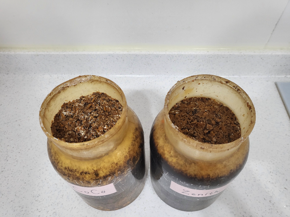 버섯 키우기 배지