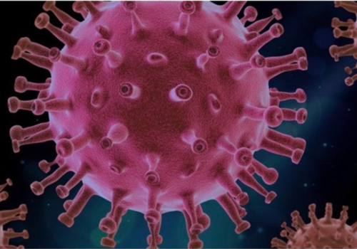 오미크론 변이 바이러스를 현미경으로 촬영한 그림