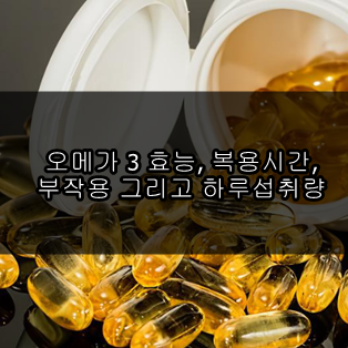 오메가 3 효능