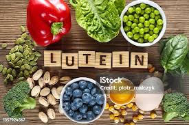 루테인이란 무엇인가?