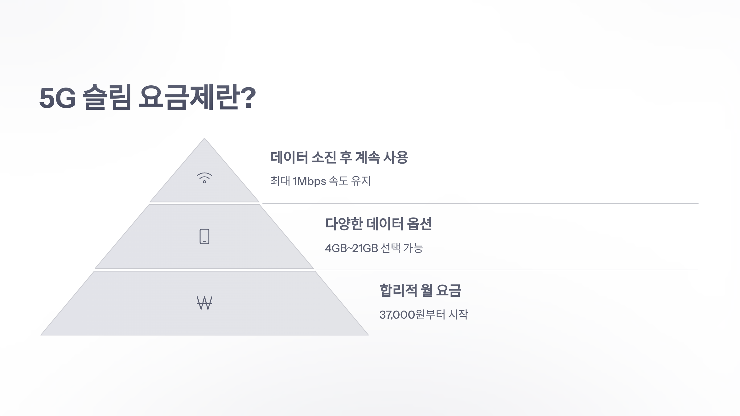 참조-5g-슬림-y-덤-2