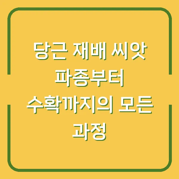 당근 재배 씨앗 파종부터 수확까지의 모든 과정