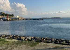 부산 차박하기 좋은 성지 TOP 5곳