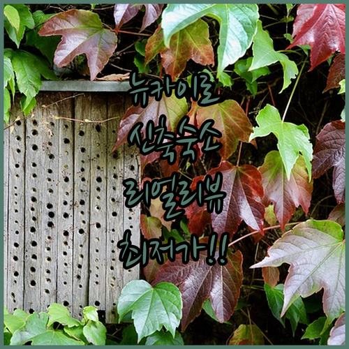 이집트 뉴 카이로 깨끗한 신축 숙소 ..