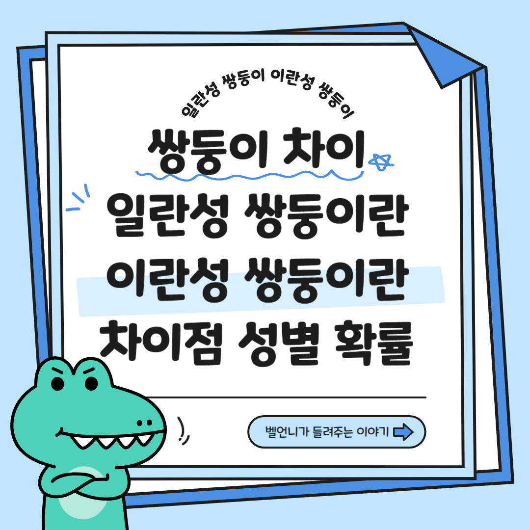 일란성쌍둥이 이란성쌍둥이 차이점 성별 확률 구분