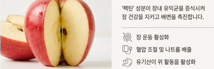아침 사과는 금"이라는 말