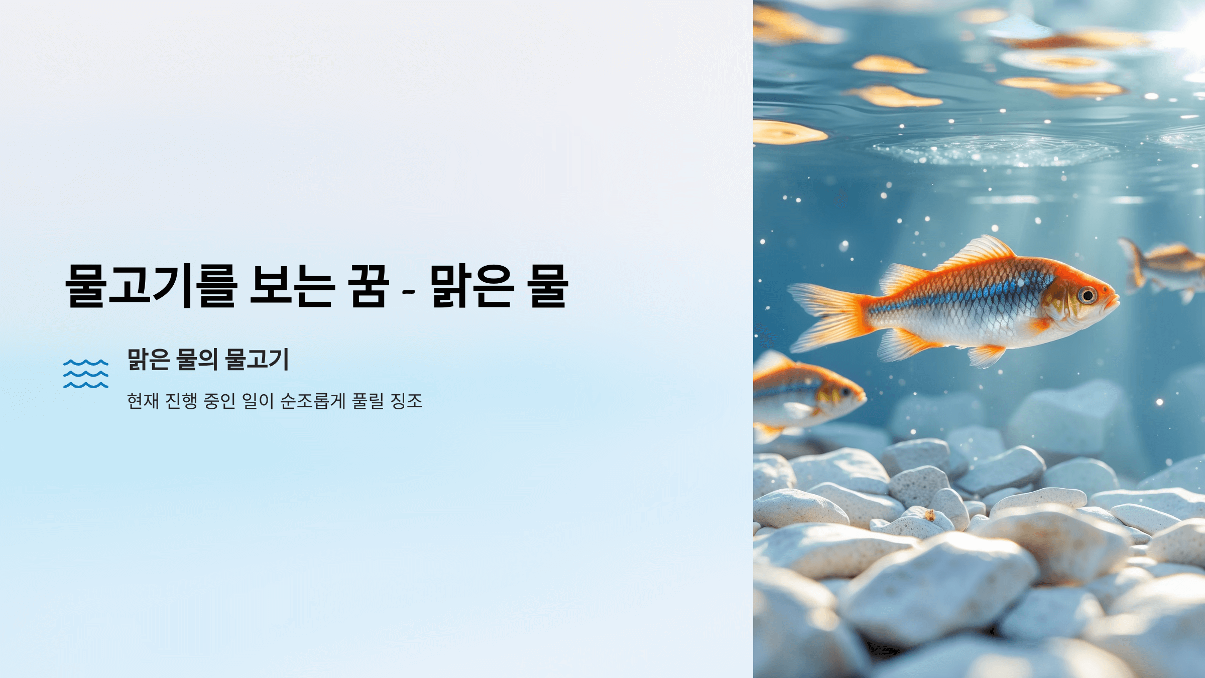 물고기 사진입니다.