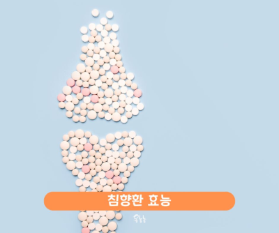 침향환 효능