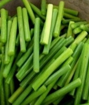 마늘쫑 효능 부작용 고르는법 칼로리