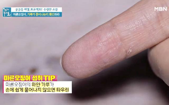 마른 오징어 하얀가루 곰팡이 마른오징어보관법