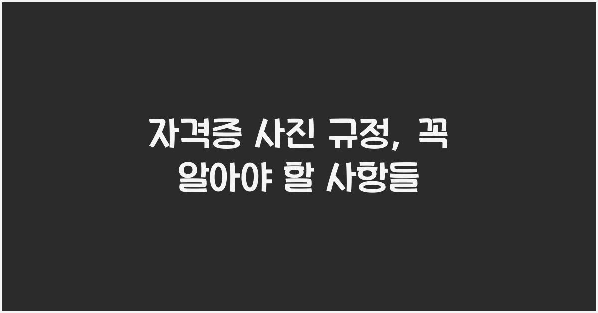 자격증 사진 규정