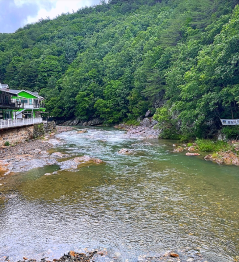 그린하우스캠핑장