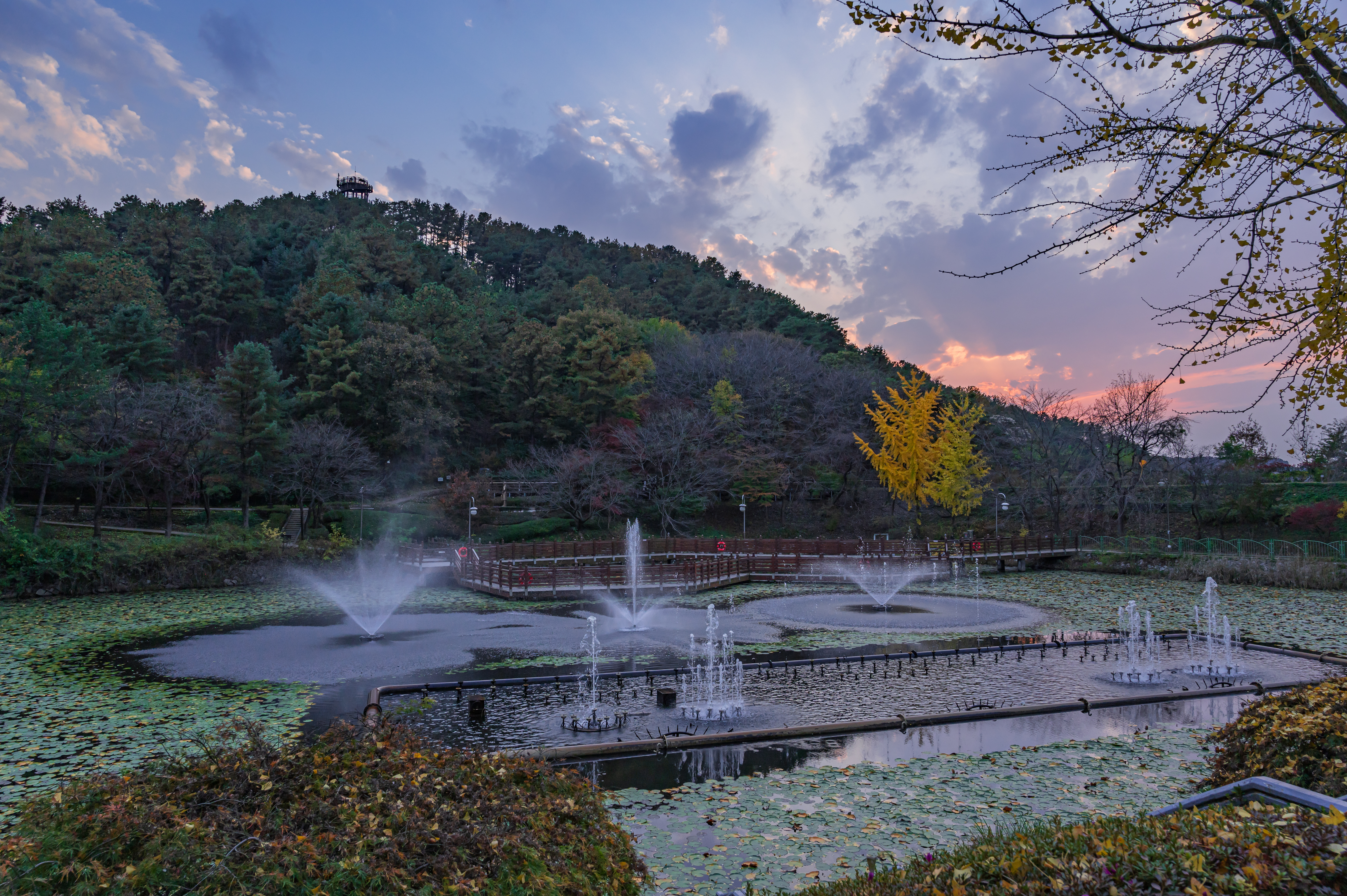 청주 가볼 만한 곳, 청남대