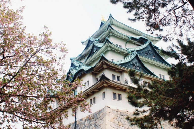 일본 나고야 자유여행 코스 관광명소 혼자 가볼만한곳 여행지