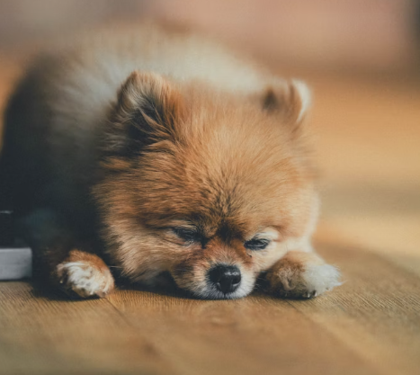 수면의 질을 높이는 생활습관