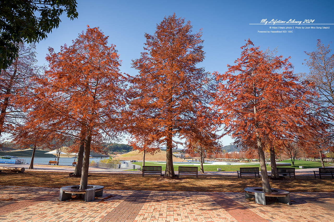 순천만국가정원