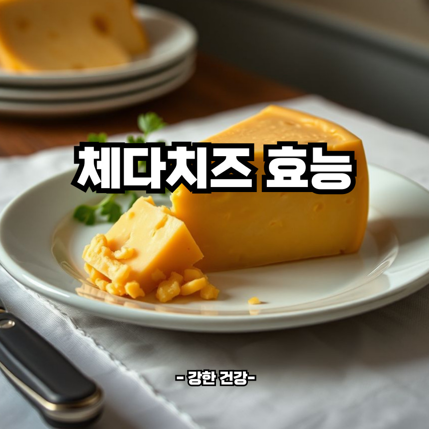 체다치즈 효능