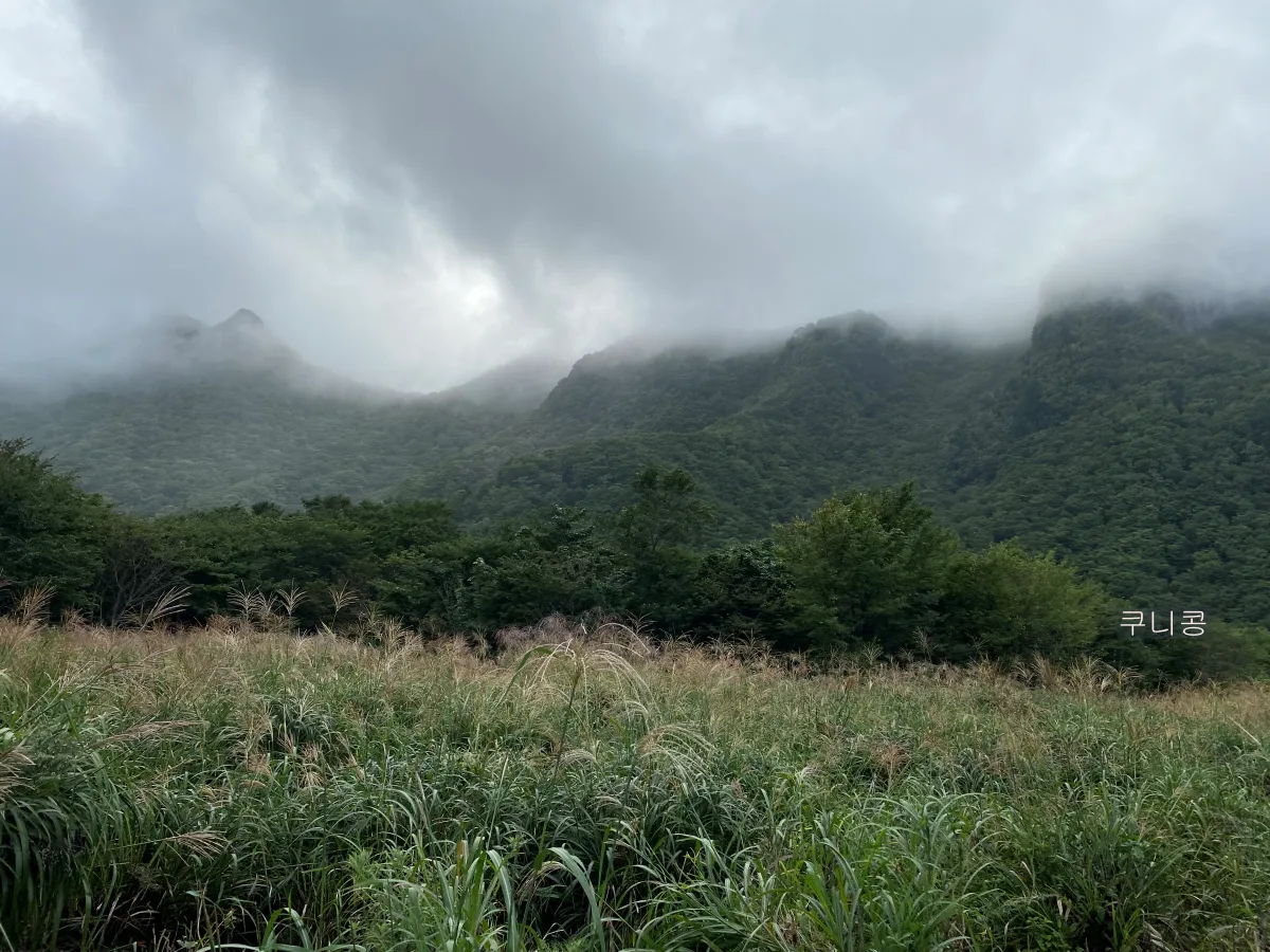 울릉도-여행-꿀팁-관광지-운영정보-입장료-독도-접안여부-확인하는-방법
