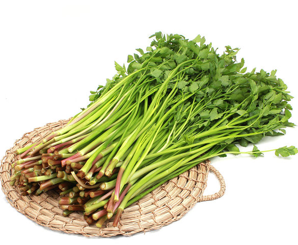 봄이되면 더욱신선하고 향이강해지는 미나리효능