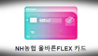 NH 농협 신올바른 FLEX 카드1
