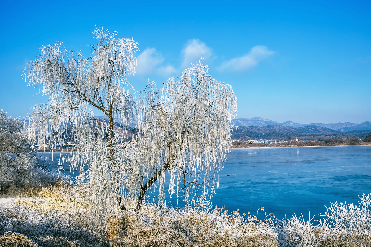춘천 상고대 명소10