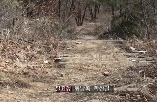 영상에서 소개한 팔효정 동남쪽 하산길