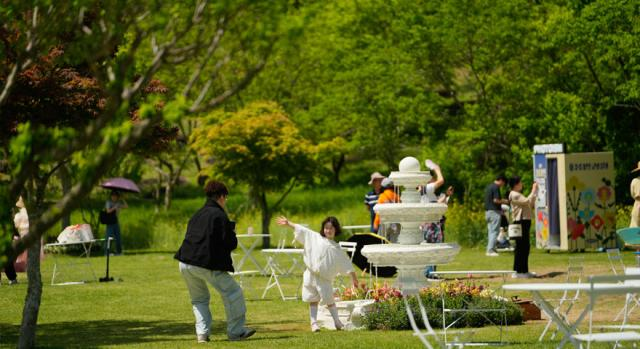 2025 화순 봄꽃 축제