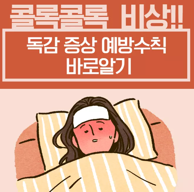 독감 예방수칙
