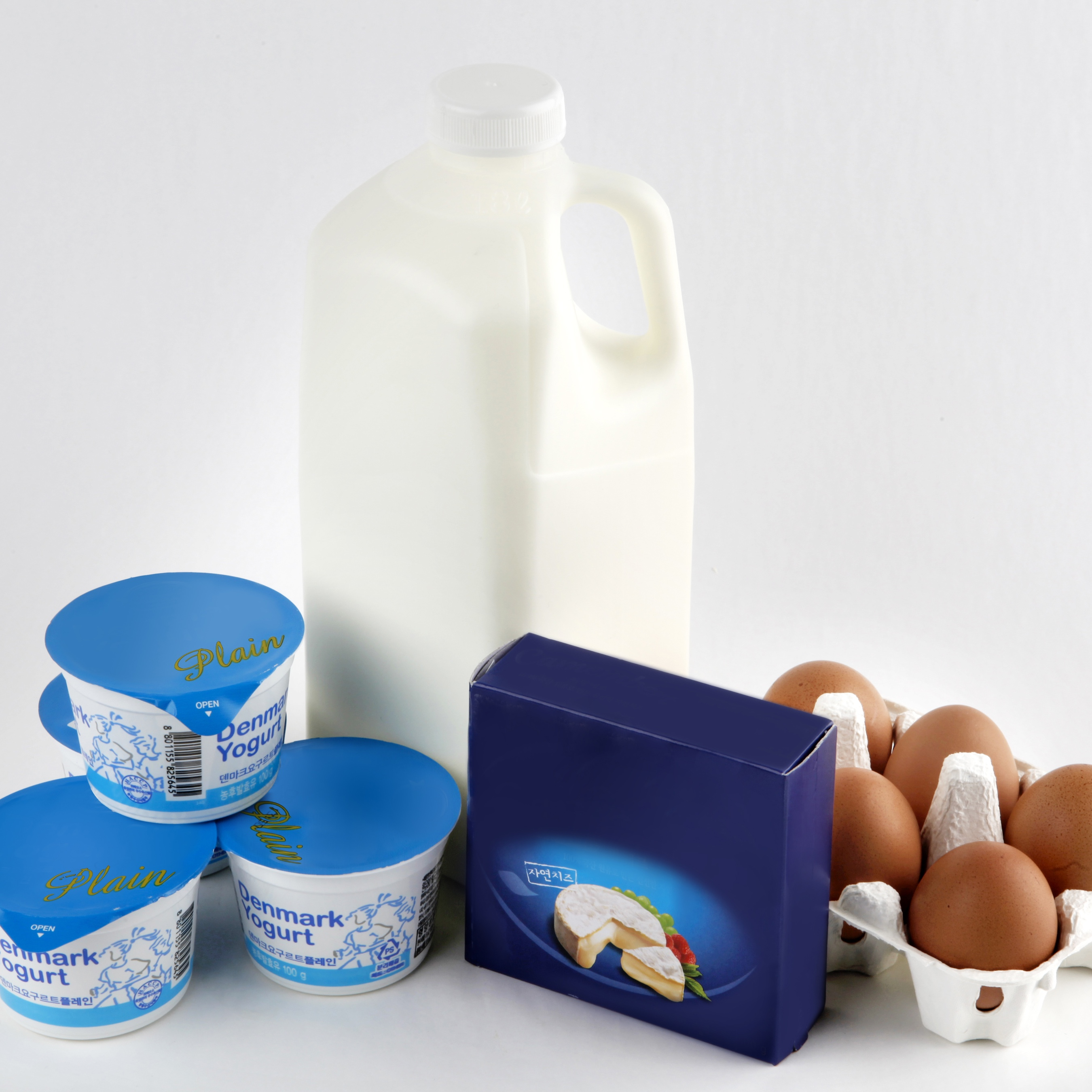 우유, 치즈 등 유제품