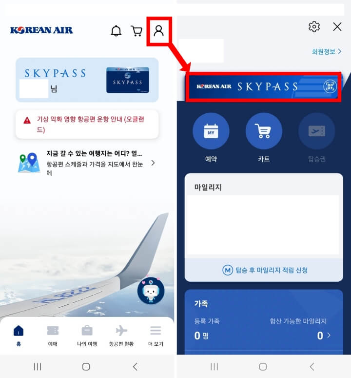 스카이패스-모바일 카드-이미지로 저장 1