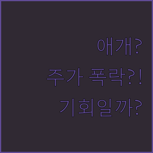 애개? 팔란티어 포드 주가 폭락?! 