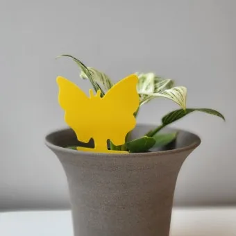 화분 뿌리파리 생기는 원인과 퇴치법 완벽 정리_24