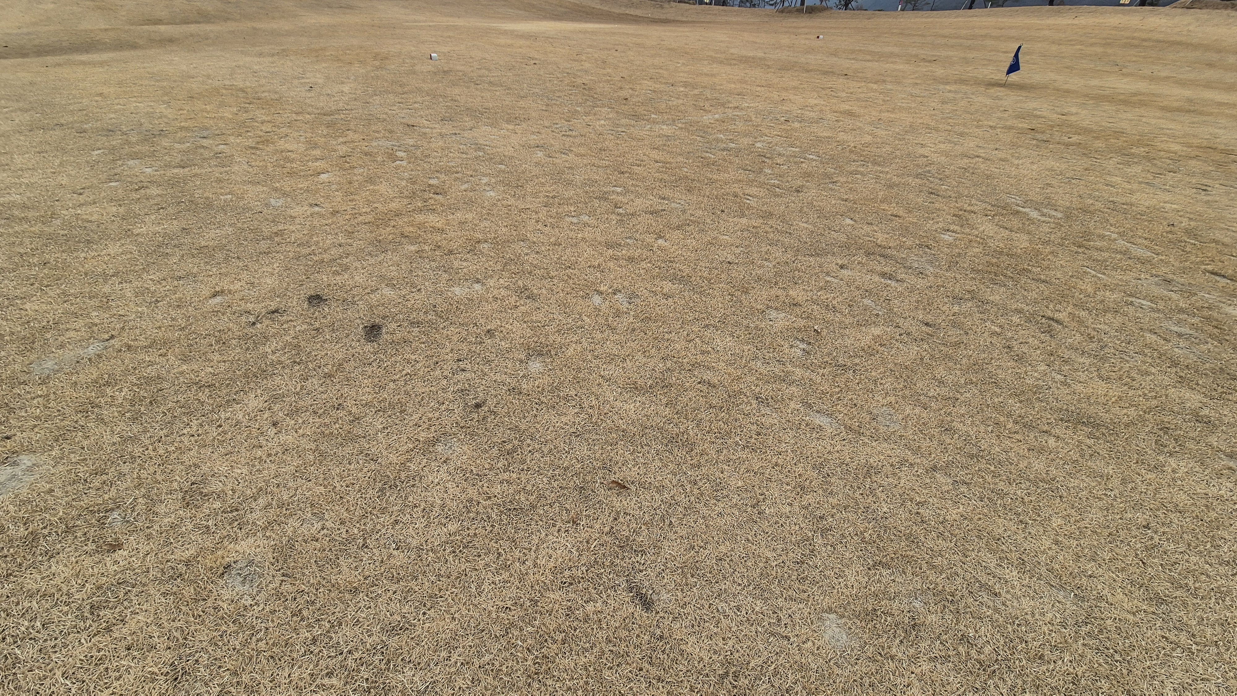 모나크cc 라운드 후기 코스관리상태