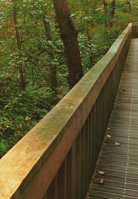 고창 해풍고추축제