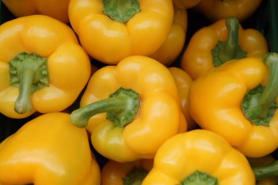 홈플러스 폐점 리스트, 소비자 유의 사항