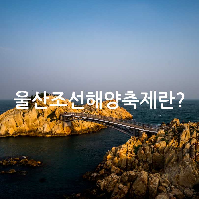 2025 울산조선해양축제 나이트런 일산