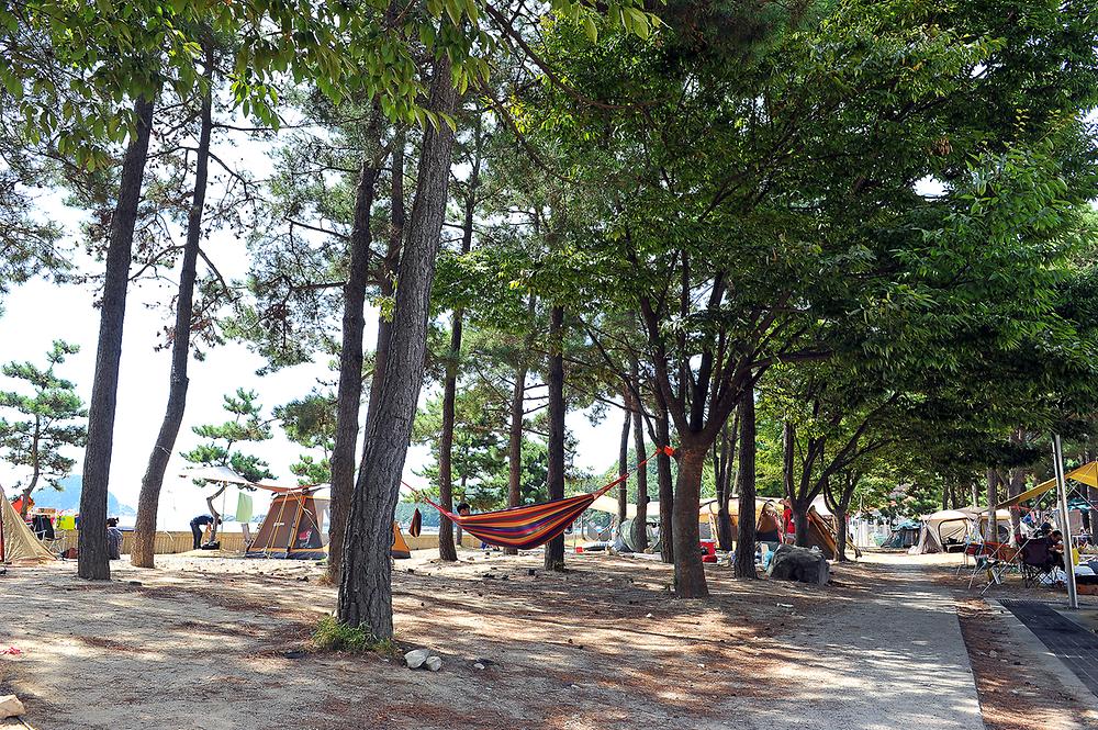 남해군 상주은모래비치 오토캠핑장 소개