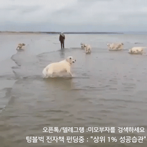 1월 19일 금 신문스크랩