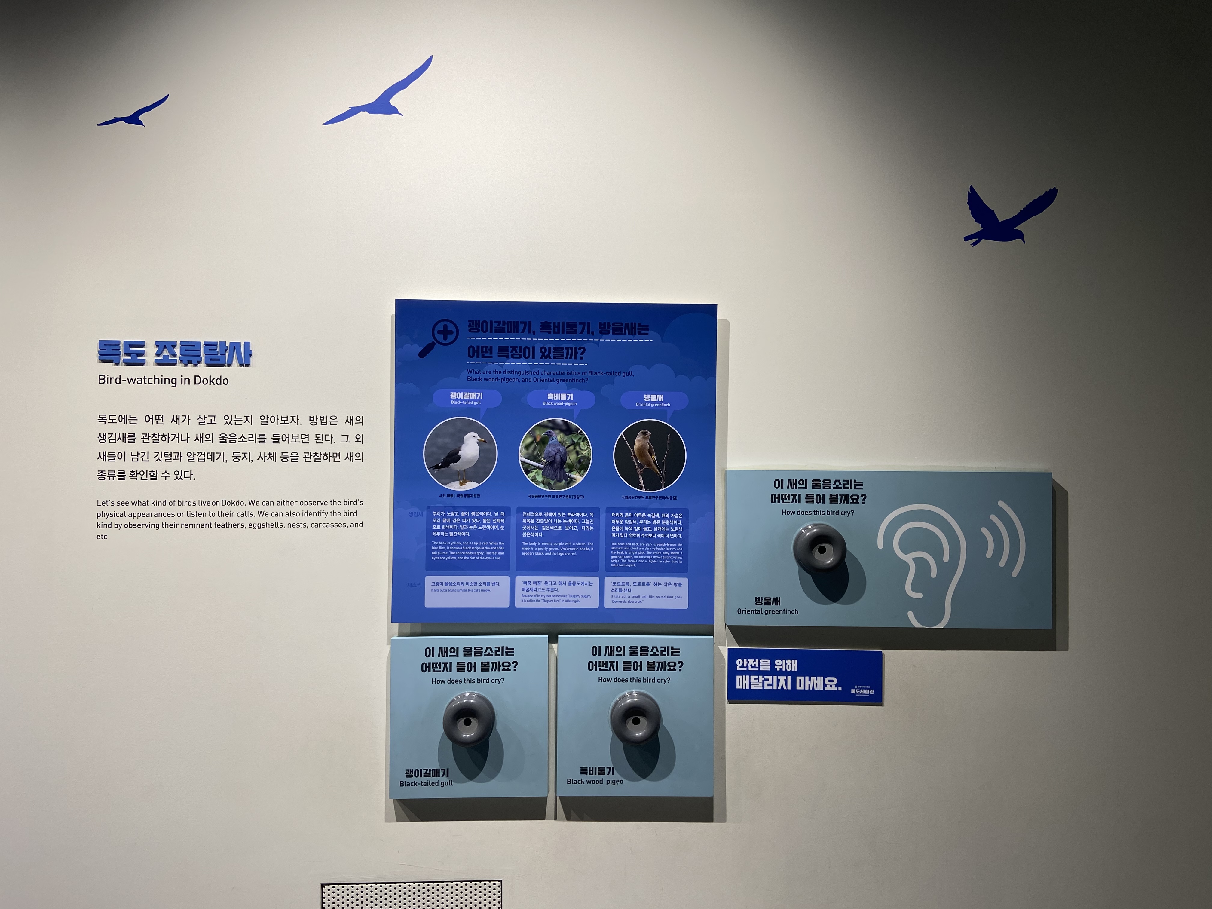 독도는 우리땅! 독도체험관