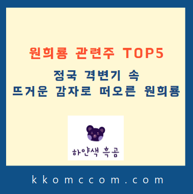 원희룡 관련주 포스팅 썸네일