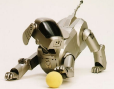 공을 가지고 놀고 있는 AI 애완 로봇