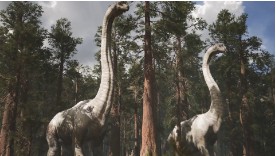 고성공룡엑스포 전시정보