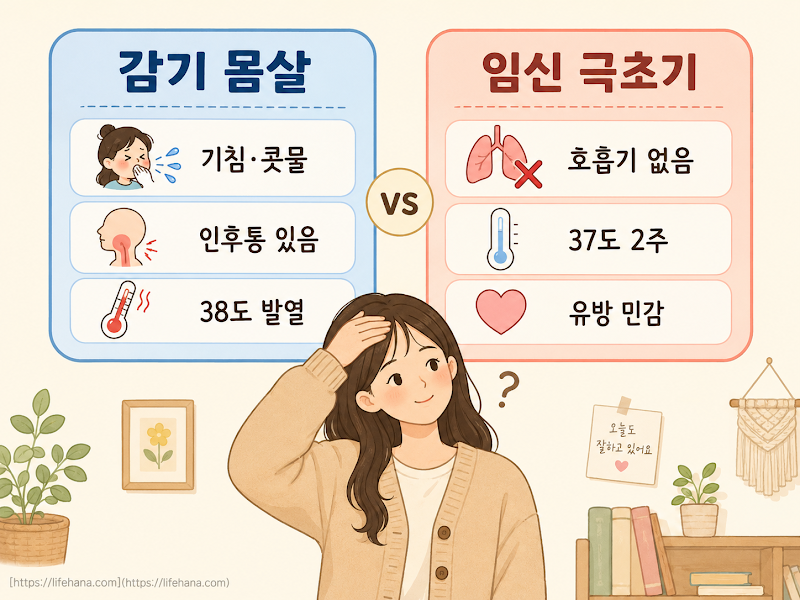 감기 vs 임신 극초기 &mdash; 결정적 차이