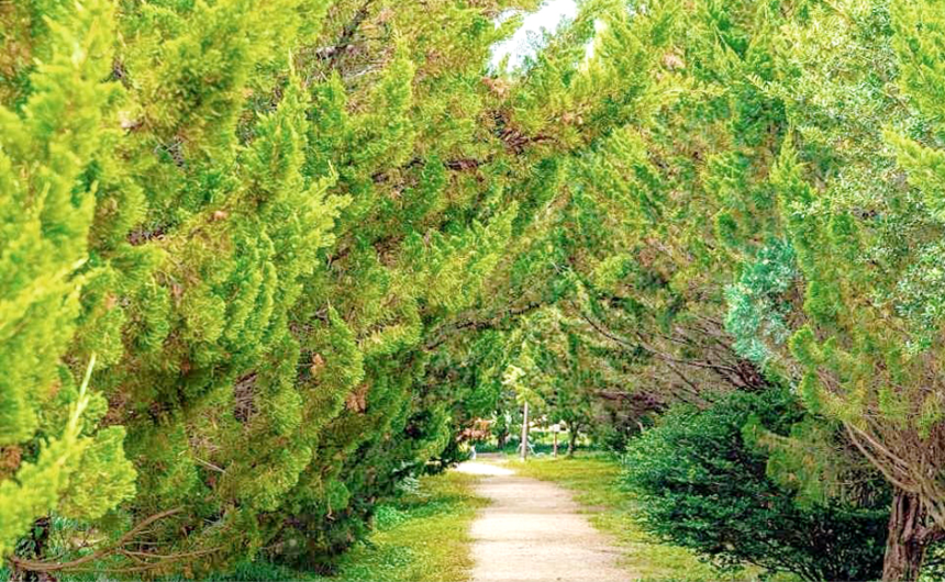 특색있고 아름다운 민간 정원 30선 추천 여행 - 30. 구례 천개의 향나무숲 정원