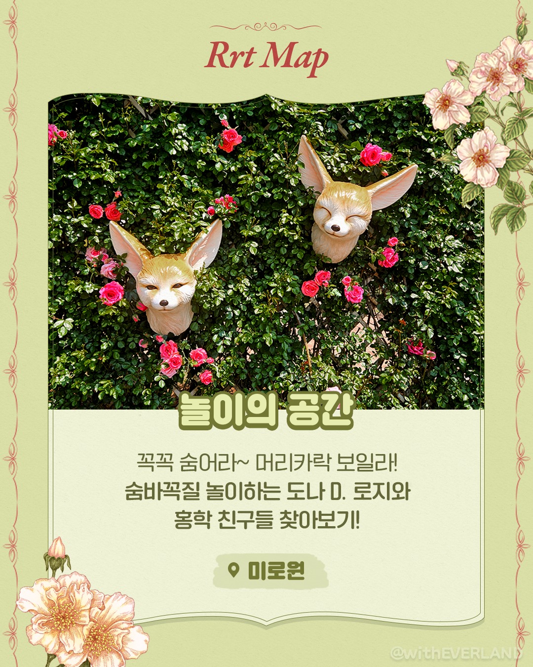 에버랜드 장미축제14