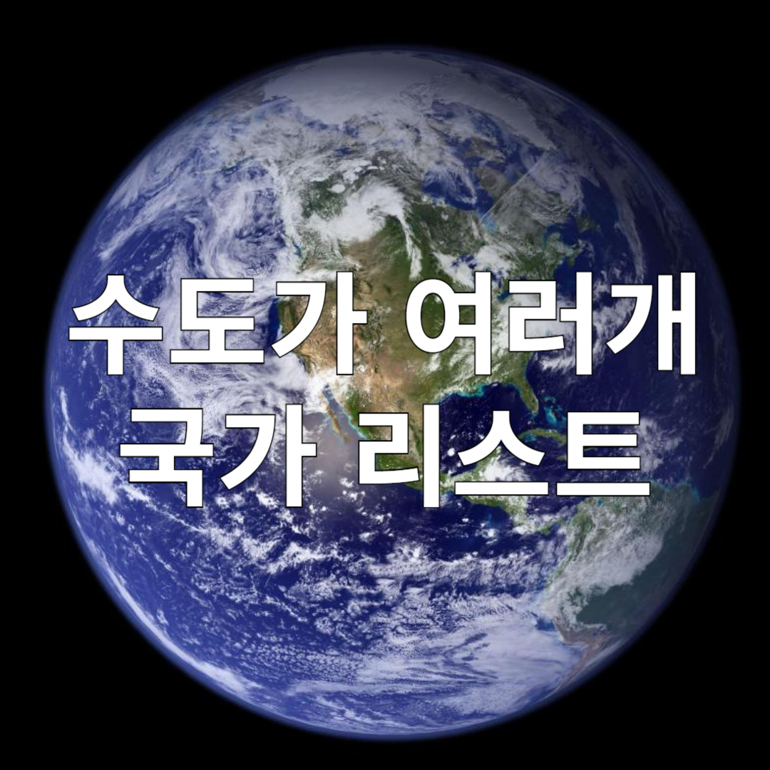 수도가 여러 개인 나라