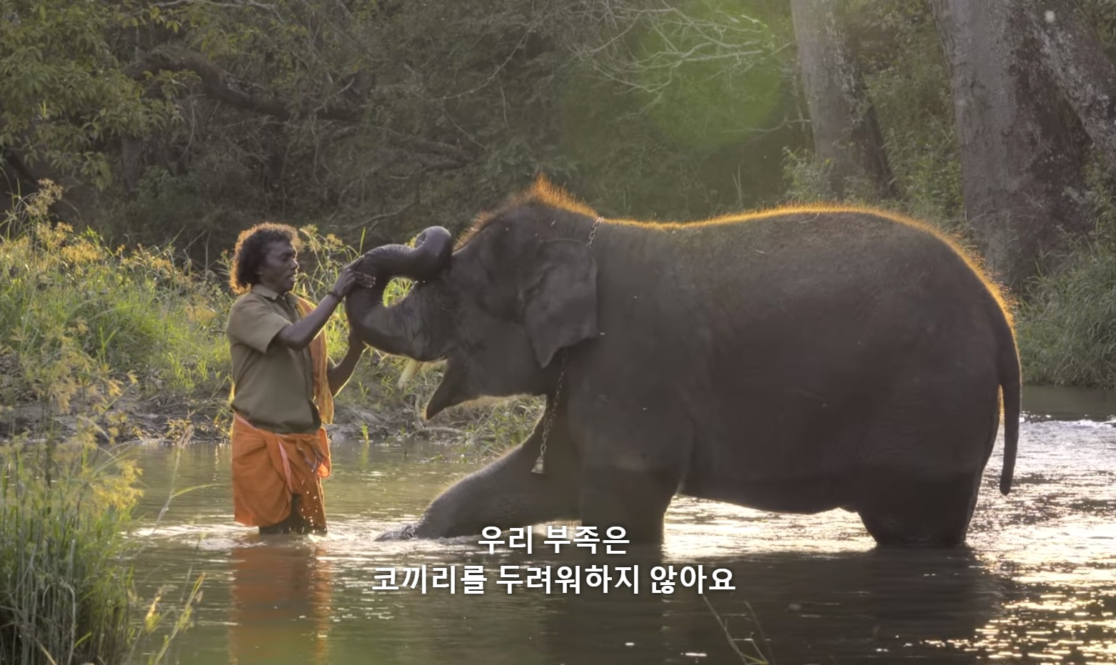 <아기 코끼리와 노부부> 다큐멘터리 중 라구를 씻기는 봄만 아저씨