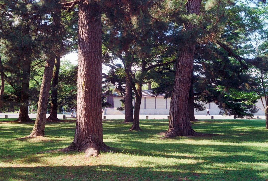 DoubleTree